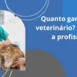 Quanto ganha um veterinário? Conheça a profissão!