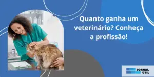 Quanto ganha um veterinário? Conheça a profissão!